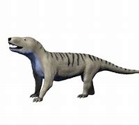 Image result for cynognathus