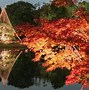 Image result for Tokyo Autumn Session