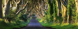 Image result for Game of Thrones Studio Tour Northern Ireland