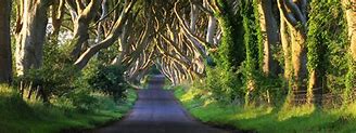 Image result for Game of Thrones Northern Ireland Tour
