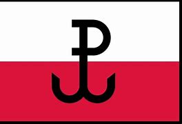 Image result for polska_walcząca