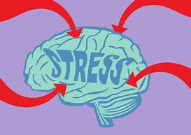 Image result for Stressed Brain