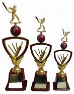 Image result for Khiladiz Legend Cricket Trophy
