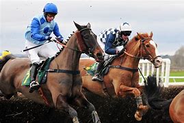 Image result for Horse Racing Picks