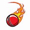 Image result for Simple Cricket Logo