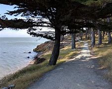 Image result for 1651 Coyote Point Dr., San Mateo, CA 94401 United States