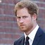 Image result for Prince Harry Wales
