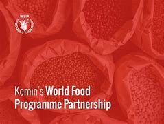 Image result for World Food Programme