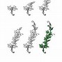 Image result for How to Draw Vines Step by Step