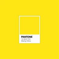 Image result for Yellow VisiColor Pantone