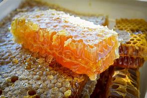 Image result for Organic Raw Honey