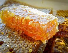 Image result for Organic Honey