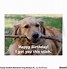 Image result for Funny Happy Birthday Memes for My Boss