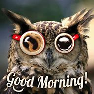 Image result for Owl Good Morning Meme