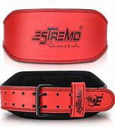 Image result for Gym Belt