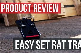 Image result for Rat Trap NYC