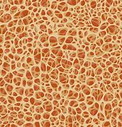 Image result for Grainy Bone Texture