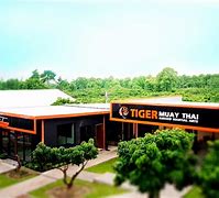 Image result for Muay Thai Chiang Mai