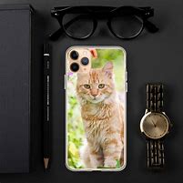 Image result for Cat iPhone Case Scrawl