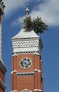 Image result for Greensburg Tower Tree