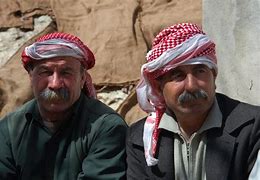 Image result for Middle Easterners