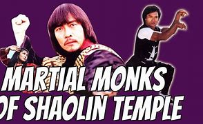 Image result for Shaolin Monks Martial Arts