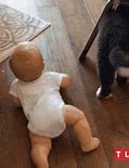 Image result for Crawling Baby Meme