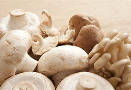 Image result for Fresh Mushrooms
