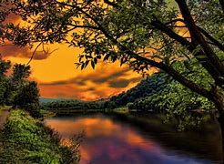 Image result for nature