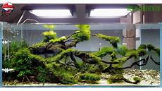 ada aquascape aquascape ada idea studio poland ada aquascape aquascape ada idea studio poland