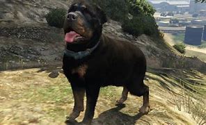 Image result for GTA V Dog
