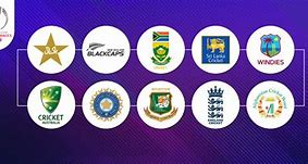 Image result for Cricket World Cup All Teams