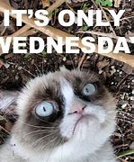 Image result for Grumpy Cat Wednesday Meme