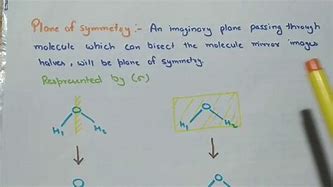 Image result for Horizontal Plane of Symmetry