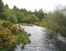 Image result for Afon Alwen