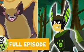 Image result for Wild Kratts a Bat in the Brownies