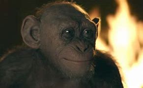 Image result for Bad Ape Planet of the Apes Meme