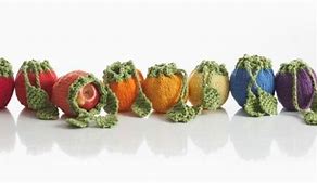 Image result for Fruit Cozy