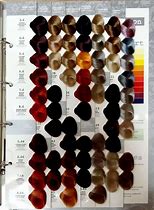 Image result for Hair Colour Chart 2020