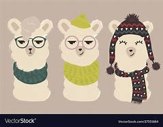 Image result for Llama Cute with Hats