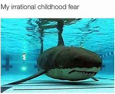 Image result for Aquarist Meme