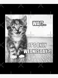 Image result for Wednesday Cat Meme