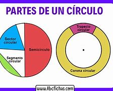 Image result for cirfunferencialmente