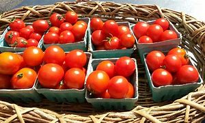 Image result for Richland Farmers Market WA