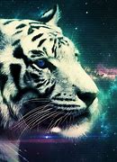 Image result for Habitat XCVI Galaxy Tiger