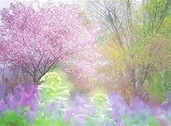 Image result for Cute Pastel Spring Backgrounds