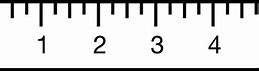 Image result for 12-Inch Ruler Print Out