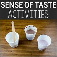 Image result for 5 Senses Taste Activity