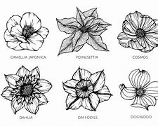 Image result for Grouping of Different Flowers Drawings