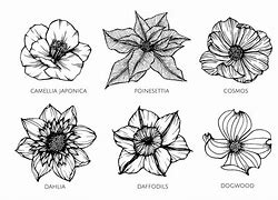 Image result for Sketch of Flowers
